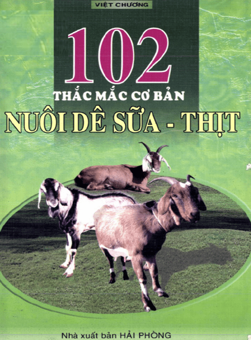 102 Thắc Mắc Cơ Bản Nuôi Dê Sữa – Thịt –