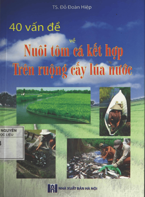 40 Vấn Đề Nuôi Tôm Cá Kết Hợp Trên Ruộng Cấy Lúa Nước –