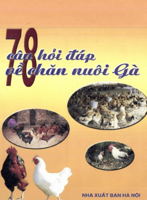 78 Câu Hỏi Đáp Về Chăn Nuôi Gà –