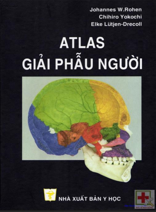 Atlas Giải Phẫu Người