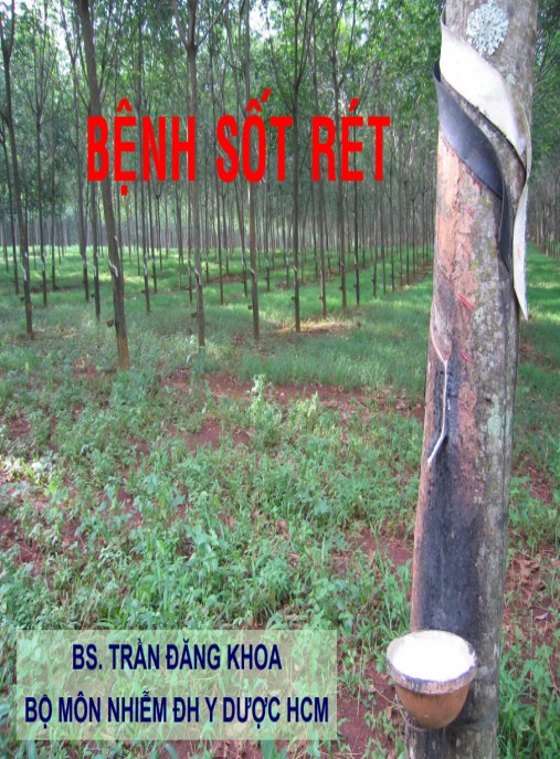 Bài giảng Bệnh sốt rét