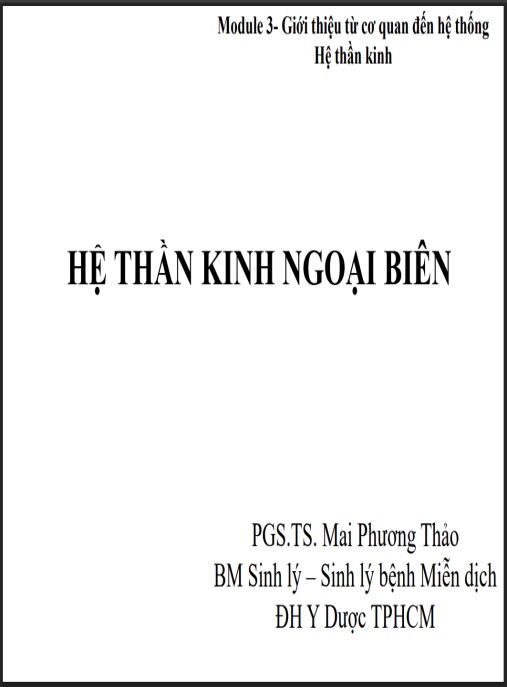 Bài giảng Hệ thần kinh ngoại biên