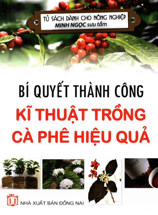 Bí Quyết Thành Công Kỹ Thuật Trồng Cà Phê Hiệu Quả