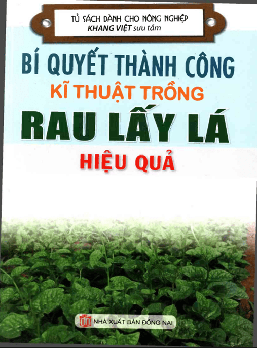 Bí Quyết Thành Công Kỹ Thuật Trồng Rau Lấy Lá Hiệu Quả