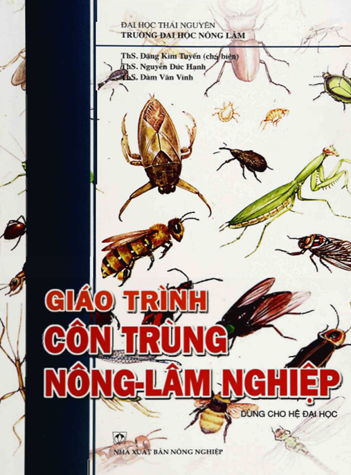 Giáo Trình Côn Trùng Nông Lâm Nghiệp