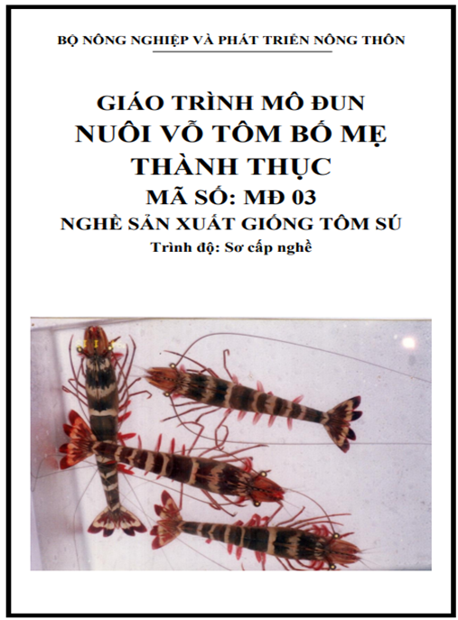 Giáo Trình Mô Đun Nuôi Vỗ Tôm Bố Mẹ Thành Thục