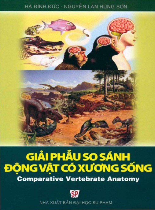 Giáo trình Giải phẫu so sánh động vật có xương sống (Tái bản lần thứ nhất) – Phần 1