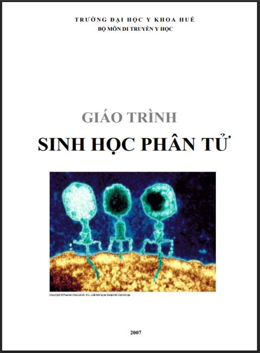 GIÁO TRÌNH SINH HỌC PHÂN TỬ, CHƯƠNG 2: SINH HỌC PHÂN TỬ