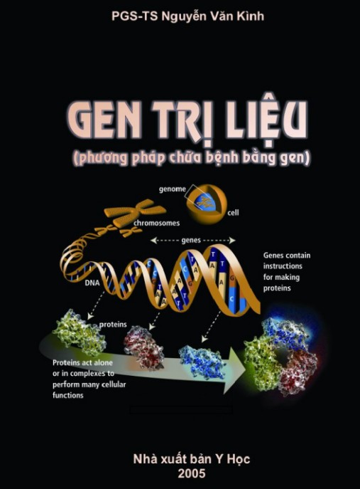 Gen Trị Liệu – Phương Pháp Chữa Bệnh Bằng Gen