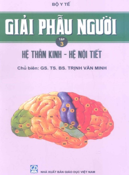 Giải Phẫu Người Tập 3