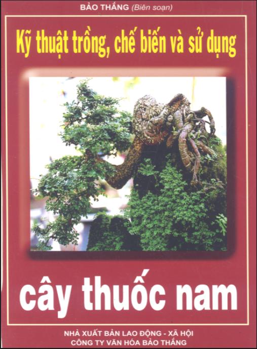 Kỹ thuật trồng, chế biến và sử dụng cây thuốc Nam – Phần 1