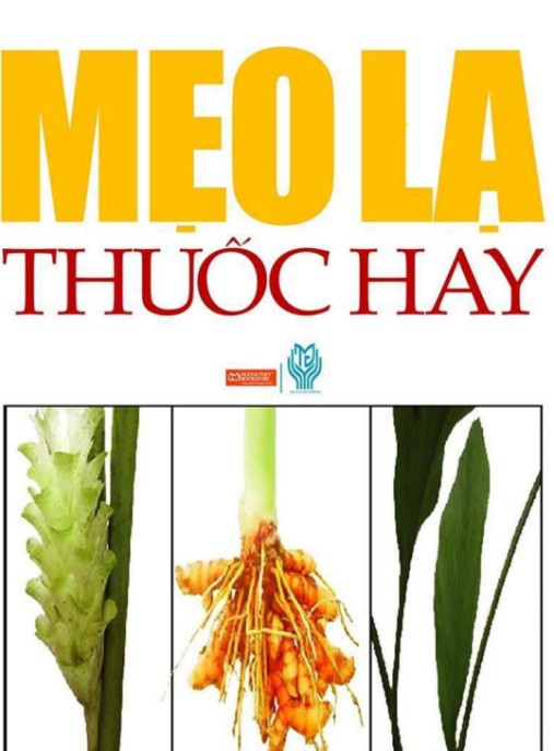 Mẹo Lạ Thuốc Hay